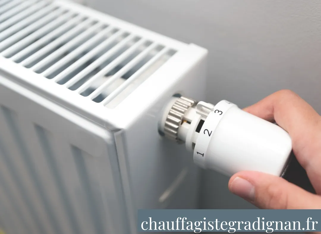 Remplacement de Thermostat Gradignan